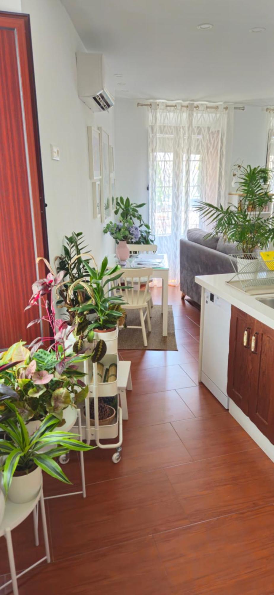 Apartamentos Los Descalzos Angel With Private Terrace Free Parking 龙达 外观 照片