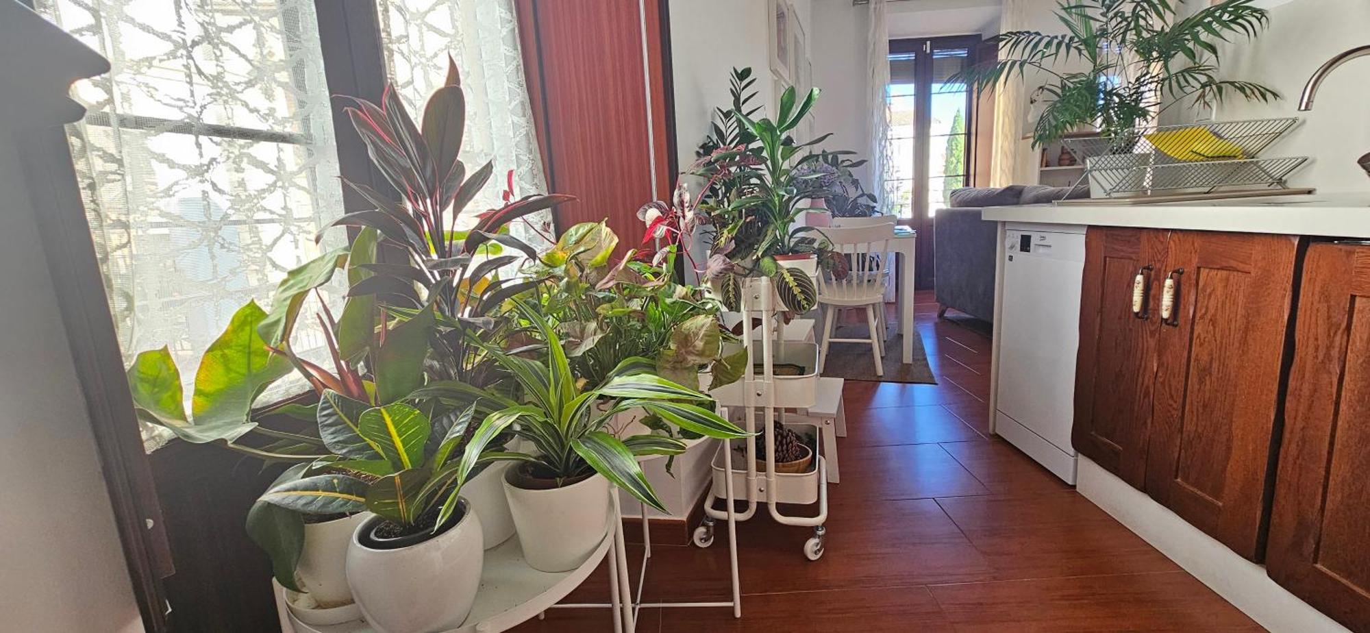 Apartamentos Los Descalzos Angel With Private Terrace Free Parking 龙达 外观 照片