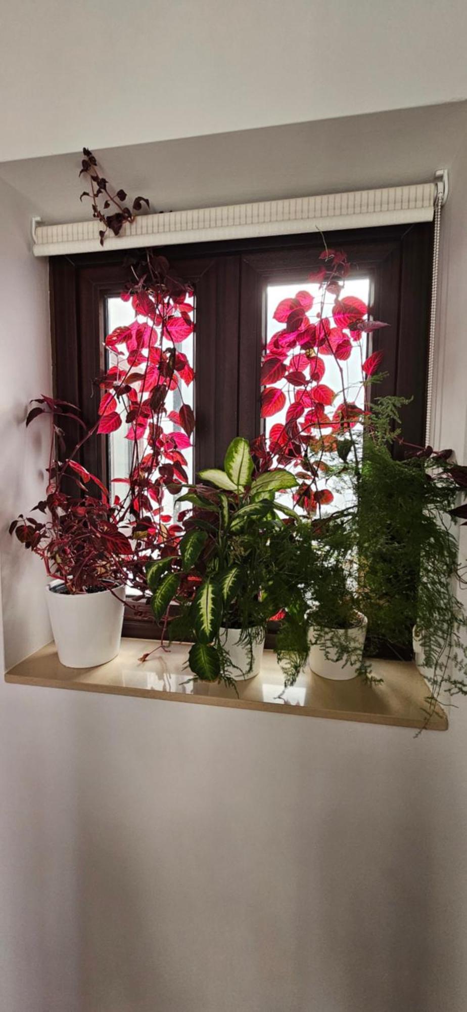 Apartamentos Los Descalzos Angel With Private Terrace Free Parking 龙达 外观 照片